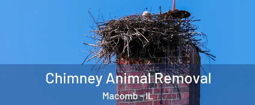 Chimney Animal Removal Macomb - IL