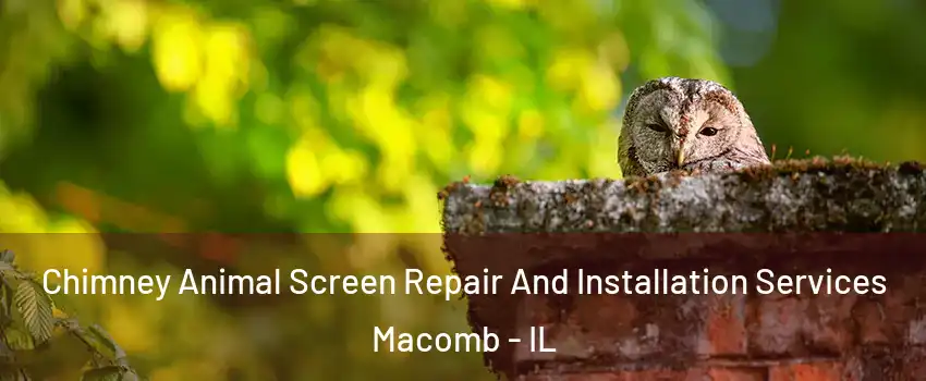  Chimney Animal Screen Repair And Installation Services Macomb - IL