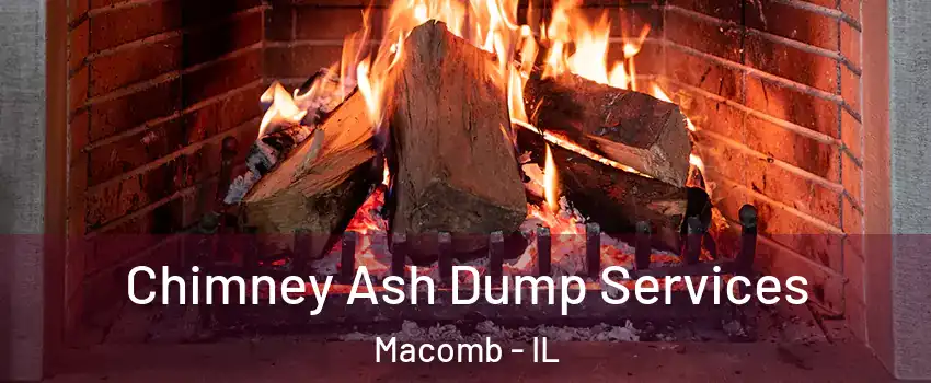  Chimney Ash Dump Services Macomb - IL