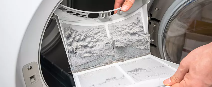 Best Dryer Lint Removal Company in Macomb, Illinois