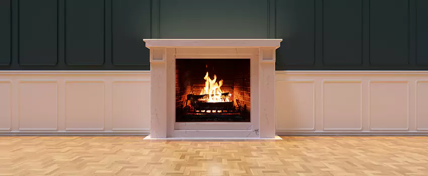 Napoleon Electric Fireplaces Inspection Service in Macomb, Illinois