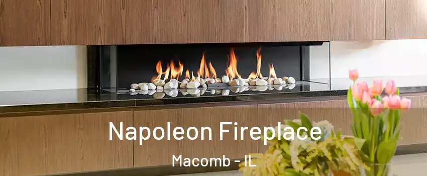  Napoleon Fireplace Macomb - IL